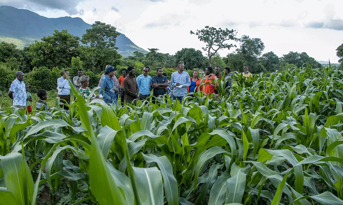 Preservation of Maze National Park (MZNP) and Its Watershed in Ethiopia Project